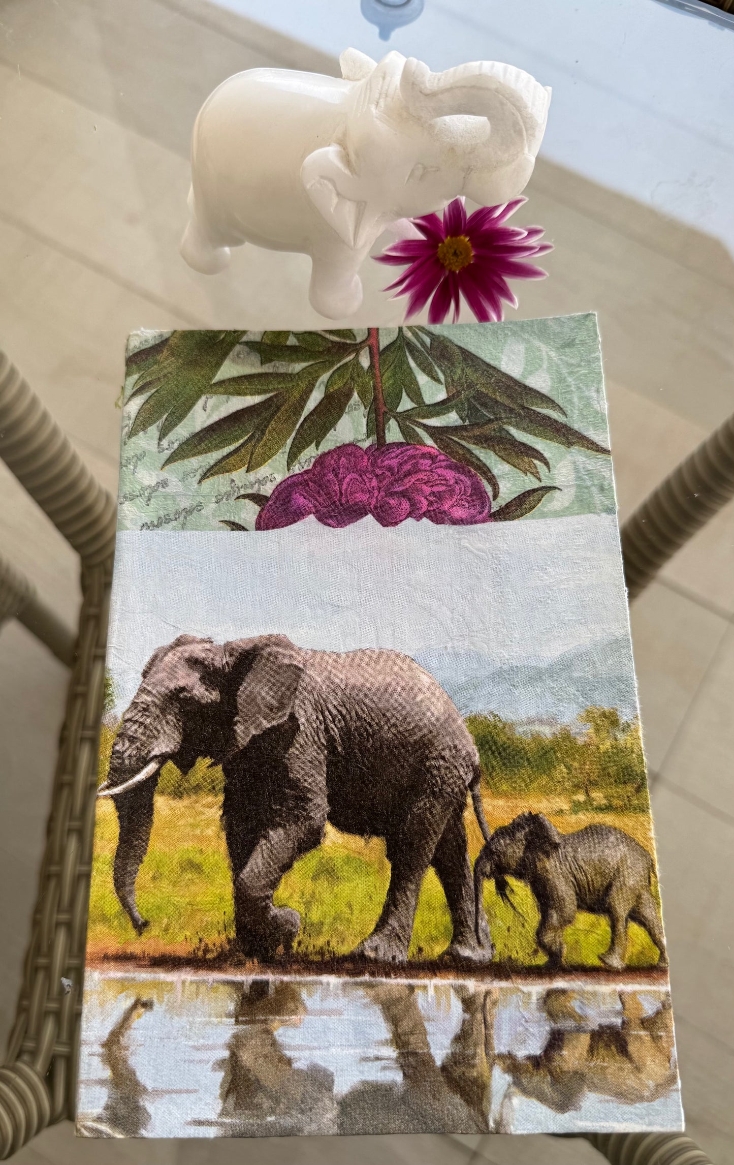 Elephant Diary