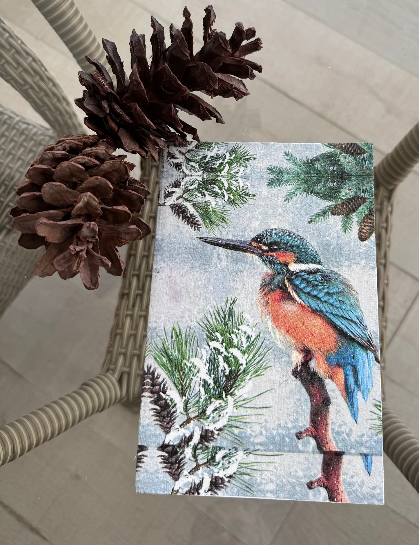 SnowyKingfisher Diary