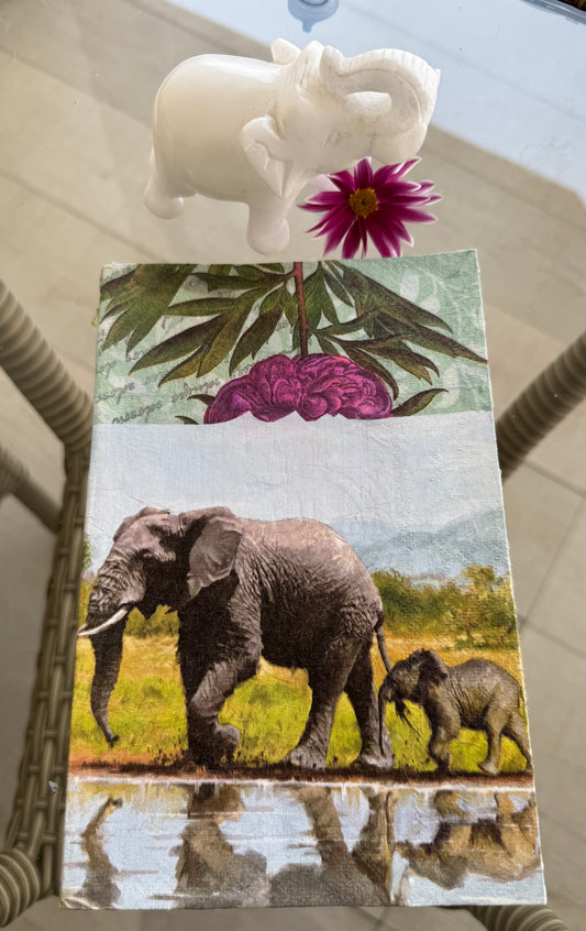 Elephant Diary